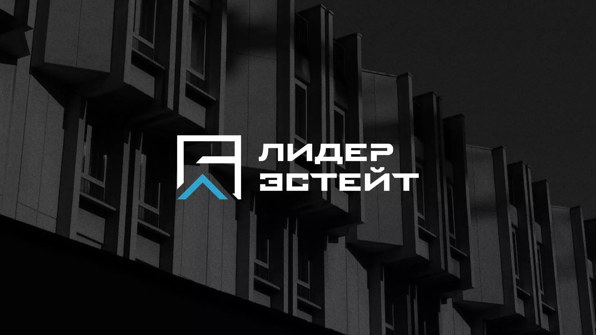 Разработка логотипа агентства недвижимости «Лидер Эстейт» в Красновишерске
